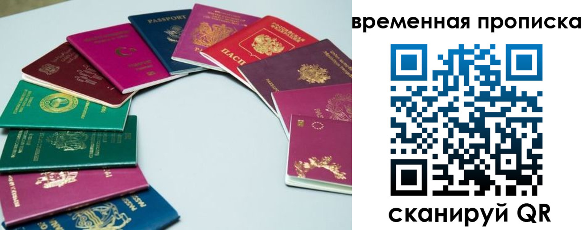 найти адрес прописки в Опочке